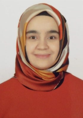 Akademik Çalışmalar